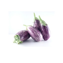 Aubergine Graffiti NL