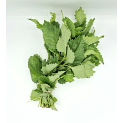Melisse Botte 10PC BE (Citronnelle)