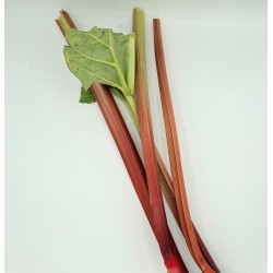 Rhubarbe 6kg NL