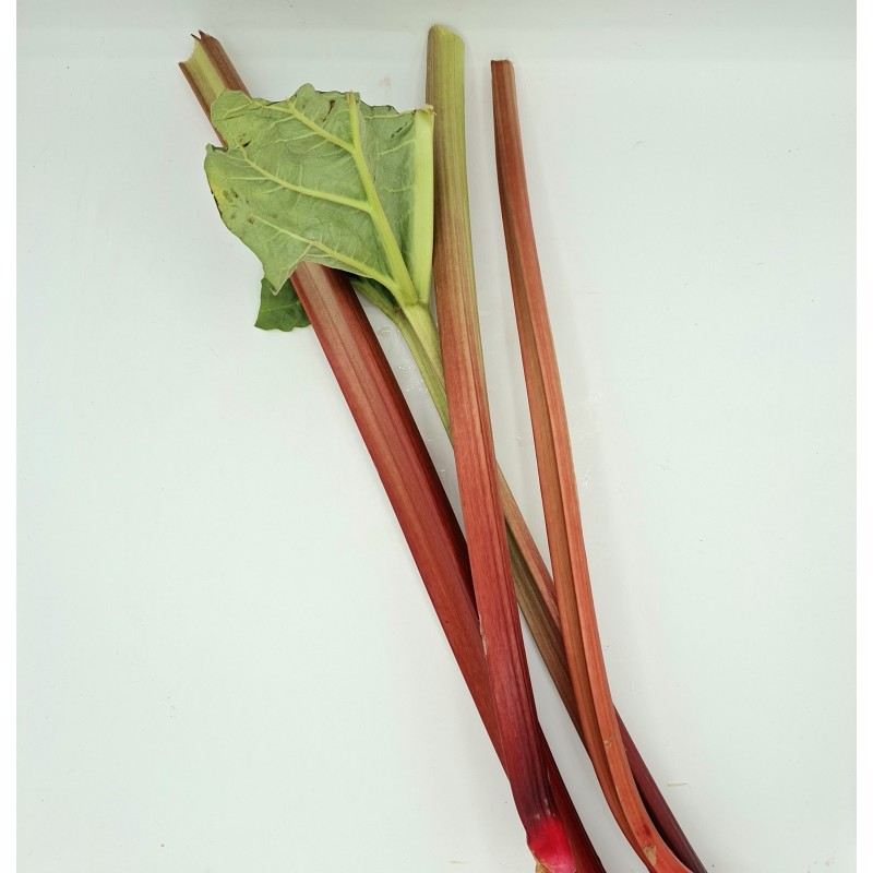 Rhubarbe 6kg NL