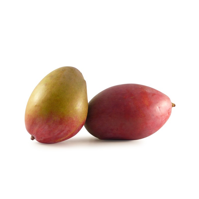 Mangue Amélie