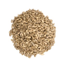 Graines de tournesol VRAC