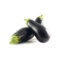 Aubergine NL