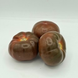 Tomate Noire BE