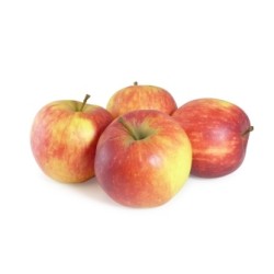 Pomme Jonagold TBE Petit calibre