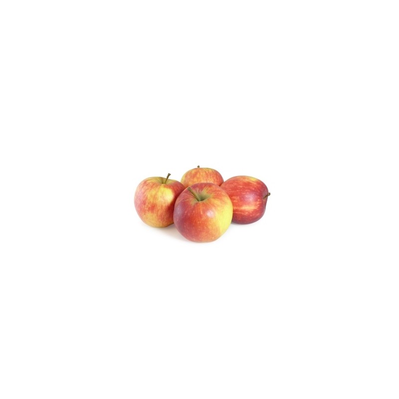 Pomme Jonagold TBE Petit calibre