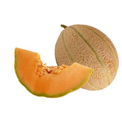 Melon Cantaloup 7/8 Pcs IT type Charentais