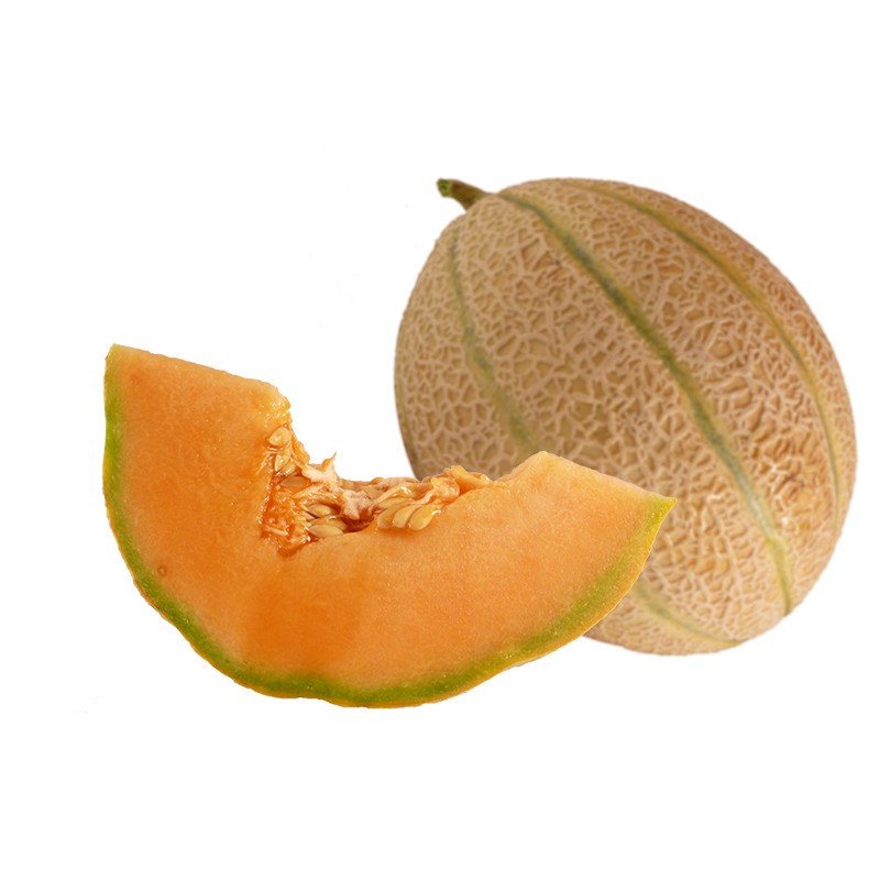 Melon Cantaloup 7/8 Pcs IT type Charentais