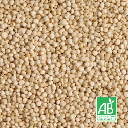 Quinoa Blanc Sac de 25kg