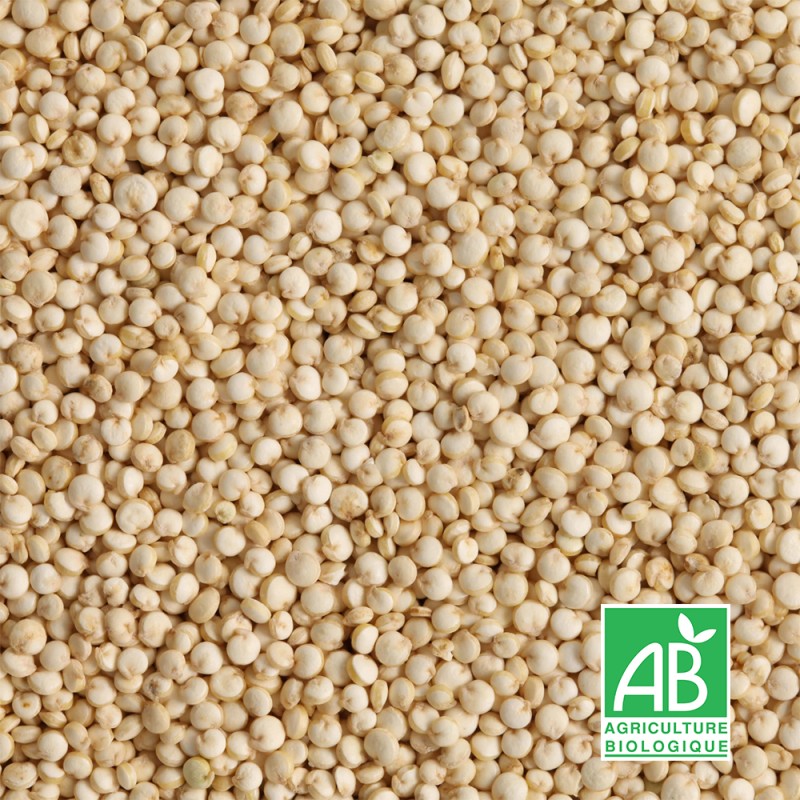 Quinoa Blanc Sac de 25kg