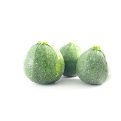 Courgette Ronde Verte litée FR