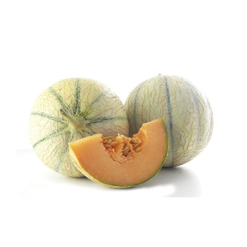 Melon type Charentais ES 7 pc