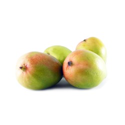 Mangue Kent 9pc BF