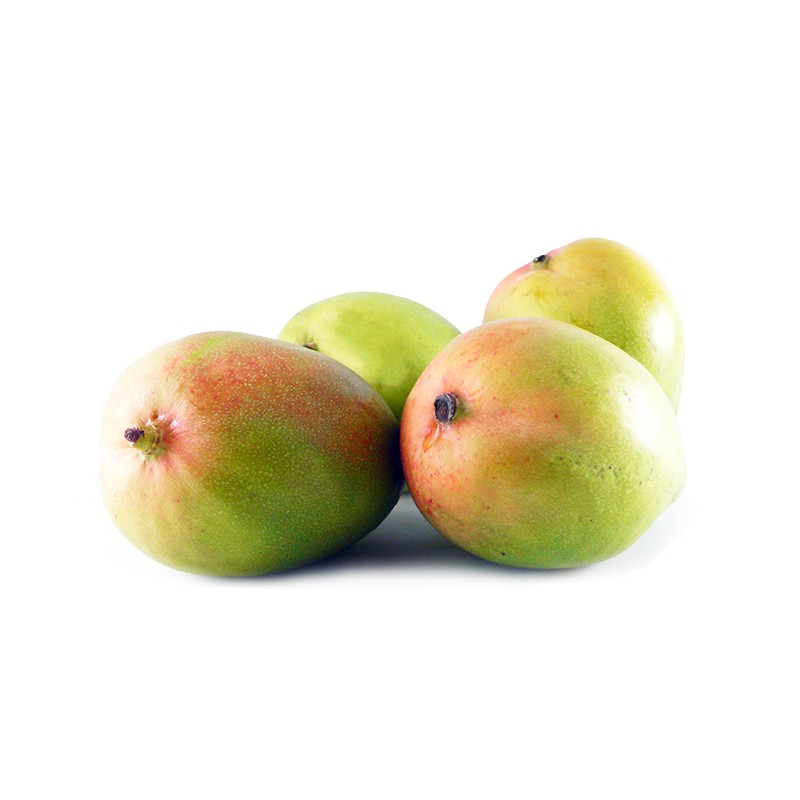 Mangue Kent 9pc BF