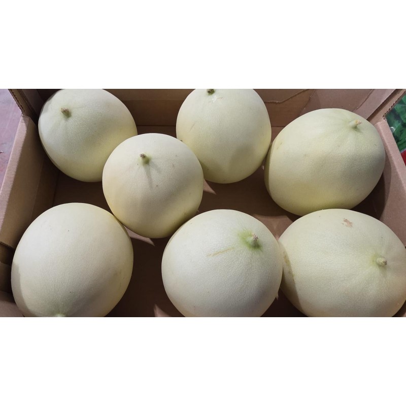 Melon Lune de Miel IT Chair Verte 7 pc