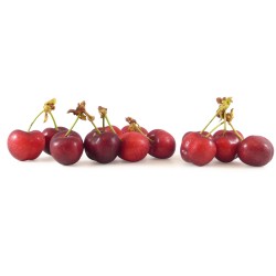 Cerise Rouge 2kg  ES